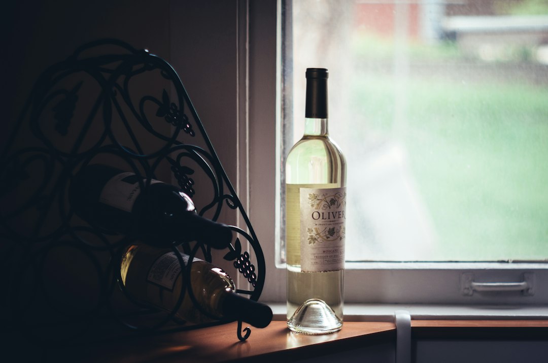 Nejlepší vývrtka na víno pro domácí použití: průvodce výběrem